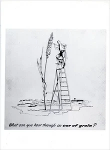 Sigmar Polke What Can You Hear Through An Ear Of Grain Catalog Art 11-1/2 x 8-1/ - Picture 1 of 1