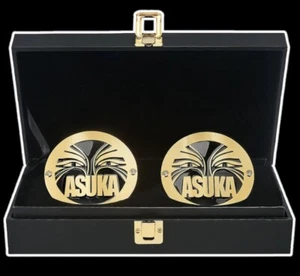 WWE ASUKA MUJER TALLA ADULTA CAMPEONATO CINTURÓN PLACAS LATERALES JUEGO TOTALMENTE NUEVO - Imagen 1 de 2