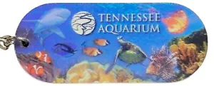 Tennessee Aquarium Oval Double Sided 3D Key Chain - Picture 1 of 1