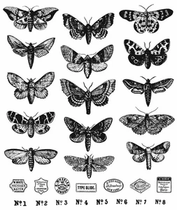 Estampillas adhesivas de Tim Holtz 7"X8,5"-Moth Study CMS436 - Imagen 1 de 1