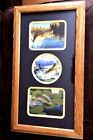 Bass Fish 3 in 1 Picture Wood Frame Under Glass Navy Matte Wall Decor