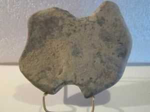 Besen Co., NY Steinwerkzeug - Axtkopf, Schaber- oder Grabwerkzeug? - Bild 1 von 10