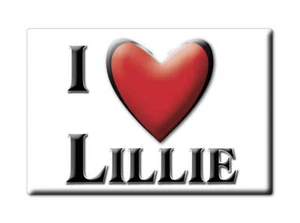 Lillie Fridge Magnet Name Gift Idea Birthday Graduation Birth - Picture 1 of 11