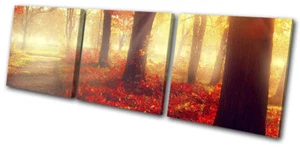 Hojas de otoño otoño otoño bosques paisajes LIENZO AGUDO ARTE PARED impresión imagen - Imagen 1 de 1