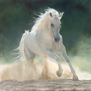 Impresión artística Rhapsody Marie Channer 27x27 - Imagen 1 de 1
