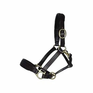 ASCOT PADDED LEATHER HEADCOLLAR LEATHER HALTER BROWN OR BLACK PONY COB FULL - Picture 1 of 1