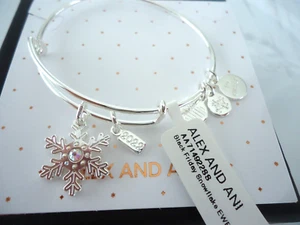 Alex and Ani BLACK FRIDAY SNOWFLAKE 2022 Shiny Silver Bangle New W/Tag Card Box - Picture 1 of 8