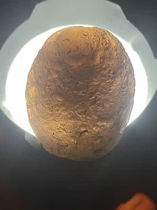 29gm. Perfekter Saffordit aus Safford Arizona Naturheilmeteorit Tektite - Bild 1 von 12