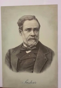 Medici Illustri pubblicità farmaceutica Bayer Anno 1953 Luigi Pasteur - Picture 1 of 1