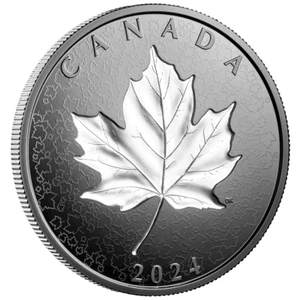 5 oz Kanada Silbermünze Maple Leaves in Motion 2024 - Rhodium Beschichtung PP - Bild 1 von 4