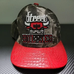 The Research & Development Street bullies hat Adjustable Chicago Bulls - Picture 1 of 7