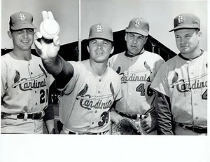 TYPE 1 1966 Press Photo St. Louis Cardinals Baseball Team at Spring Training - Picture 1 of 2