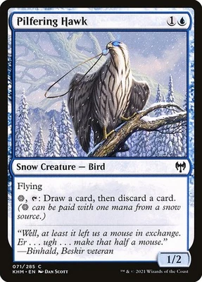 (2x FOIL) PILFERING HAWK - Kaldheim – MTG Magic the Gathering Card - Image 1 of 4