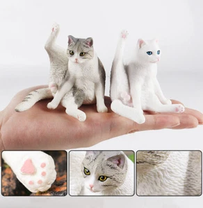 Modellino gatto scala 1/6 modellino animale per scena accessori ornamenti figura regalo nuovo - Foto 1 di 7