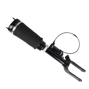 Amortiguador de suspensión neumática delantero para Mercedes-Benz Clase R W251 V251 R320 R350 - Imagen 1 de 5
