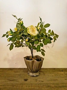 Vaso mosca a coppa in ceramica - Foto 1 di 3