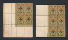 MONGOLIA STAMPS 1924 SCEPTER OF INDRA 2c BLOCKS 4 & 6 BOTH PERFORATION TYPES MOG