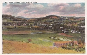 Walton, NEW YORK - Birdseye View from Harby's Hill - Picture 1 of 2