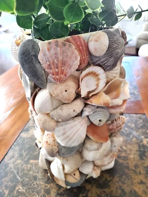 Jarrón Sea Shell alto 5,5 X 5,5 X 10 único por artesano (para arreglos secos) Foto 1 de 4