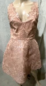 $4,000.00 Monique Lhuillier Collection Lace Embroidered Pink Cocktail Dress US 4 - Picture 1 of 5