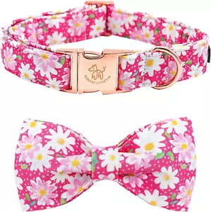 Elegant Little Tail Dog Collar, Dog Collar with Bow, Pink Floral Girl Dog Collar - Picture 1 of 12