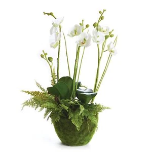 Realistic Moth Orchid & Fern Artificial Plant – 18" - Picture 1 of 2