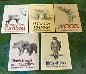 Lot of 5 Vintage Arctic Wildlife Sketches Grizzlies Dall's Sheep Caribou Moose - Foto 1 di 7