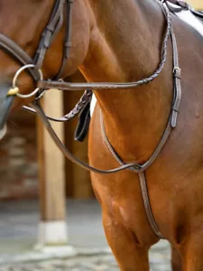 Martingala de pie LeMieux Hunter - Imagen 1 de 3