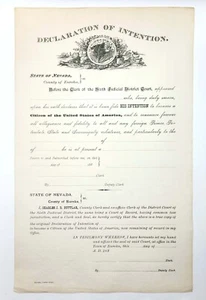 NEVADA - 1880s UNISSUED INTENTION FOR CITIZENSHIP. - Picture 1 of 1