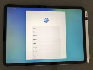 Apple iPad Pro 11" 3rd Gen 128GB Wifi + Cellular UNLOCKED + Apple Pencil Bundle - Picture 1 of 8