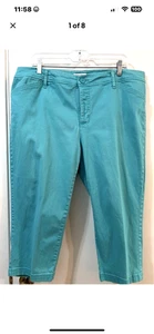 Pantalones Cortos Capri ST JOHN'S BAY Elastizados Bolsillos Frontales Planos Verde Turquesa 18W - Imagen 1 de 9