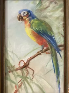 🔥 Fine Antique Old BIRD Parrot Rainbow Lorikeet Portrait Painting, Signed 1930s - Picture 1 of 22