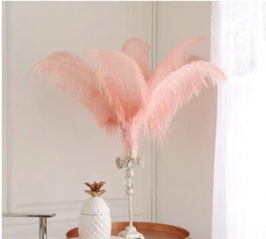 Peach Blush Pink 12 Pieces Ostrich Feather 12-14 inches Dozen Wedding Centerpiec - Picture 1 of 11