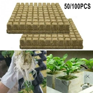 Sterile Grow Starter Würfel zum Klonen und Pflanzenvermehrung 50er/100er Pack - Bild 1 von 38