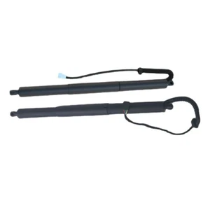 2X Tailgate Power Hatch Lift Support Strut Fit 2014-2017 BMW X5 F15 51244823279 - Bild 1 von 2