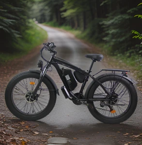 Electric Bike Mountain Bike Dual Motor 23Ah Fat Tyre - Picture 1 of 13