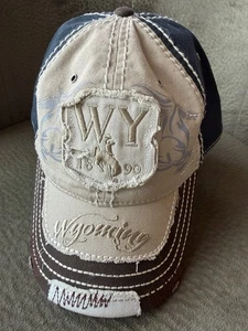 Wyoming 1890 Trucker Cap Brown G54 Hat Graphics 360 Distressed Adjustable Bronco - Picture 1 of 9