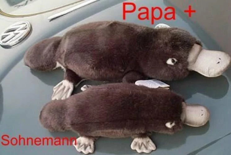 HANSA 30cm Schnabeltier Stofftier kuschellig weich Australien Sohnemann