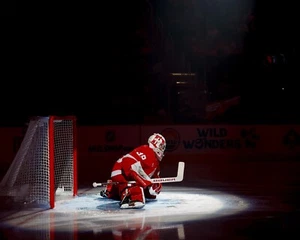 Foto de hockey Cam Talbot prejuego Detroit Red Wings 8x10 NHL - Imagen 1 de 1