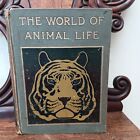 The World Of Animal Life Edited By Fred Smith, 1902, Hb