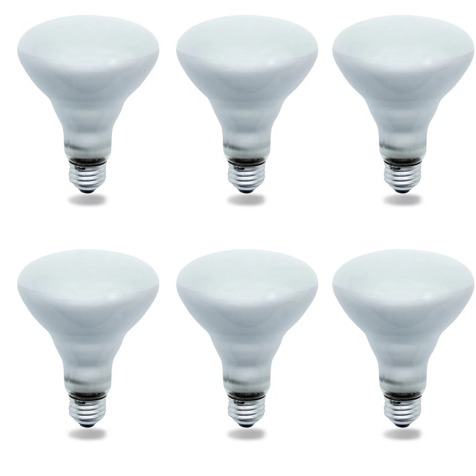 (6) Replacement Bulb for LIGHT BULB / LAMP 75R30/FL/RP 65W 120V - Image 1 of 4