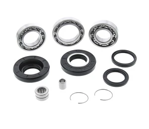 Honda Rancher 350 TRX350 Rear Differential Bearing and Seal Kit 2000 - 2006 - Picture 1 of 2