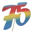 A - Demmler STA-PAPER-BUNT-75 - „75“ Jubiläumszahl farbig - Festliche Zahlen - B