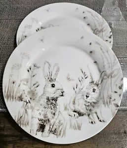 Stechcol Gracie Bone China Set of 2 Appetizer Plates 7.5" Bunny Rabbits Easter - Picture 1 of 5