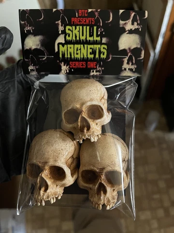 Skull, Halloween Decor, gothic skulls 3- pack, horror magnets Cover