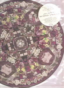 ROKY ERICKSON AND THE EXPLOSIVES "Casting The Runes" 1987 Picture Vinyl LP - Foto 1 di 1