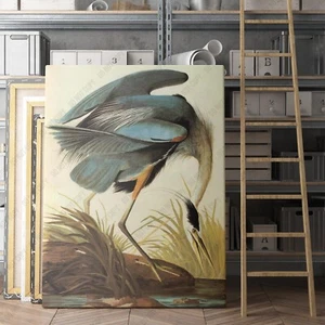 Great Blue Heron 1821 John James Audubon Birds of America Canvas Wall Art Print - Picture 1 of 7