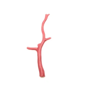Red Coral Gemstone, Raw Italian Coral Stick, Natural Italian Coral Rough Stick, - Picture 1 of 1