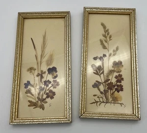 Vintage Framed Dried Pressed Flowers Made In Germany Set Of 2 - Picture 1 of 24