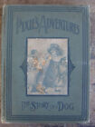Pixie's Adventures: The Story Of A Dog (1903 Hardcover) Illustrations Animals